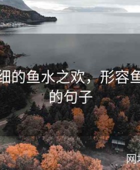 描写很细的鱼水之欢，形容鱼水之情的句子