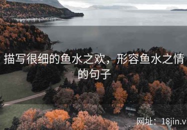 描写很细的鱼水之欢，形容鱼水之情的句子