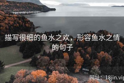 描写很细的鱼水之欢，形容鱼水之情的句子