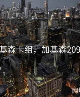 加基森卡组，加基森20999