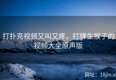 打扑克视频又叫又疼，打牌生猴子的视频大全原声版
