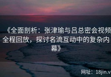 《全面剖析：张津瑜与吕总密会视频全程回放，探讨名流互动中的复杂内幕》