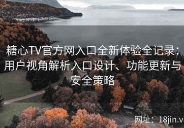 糖心TV官方网入口全新体验全记录：用户视角解析入口设计、功能更新与安全策略