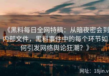 《黑料每日全网特稿：从暗夜密会到内部文件，黑料事件中的每个环节如何引发网络舆论狂潮？》