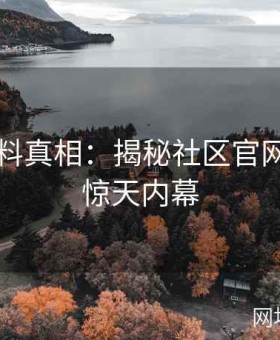 网红黑料真相：揭秘社区官网背后的惊天内幕