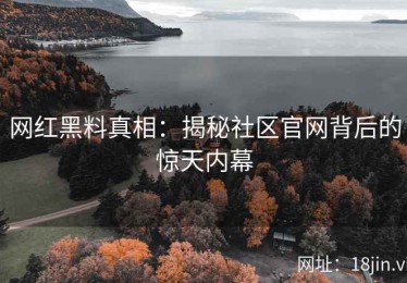 网红黑料真相：揭秘社区官网背后的惊天内幕