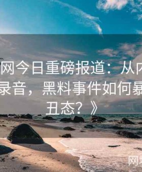 《黑料网今日重磅报道：从内部文件到秘密录音，黑料事件如何暴露权贵丑态？》
