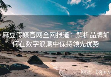 麻豆传媒官网全网报道：解析品牌如何在数字浪潮中保持领先优势