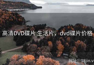 高清DVD碟片 生活片，dvd碟片价格