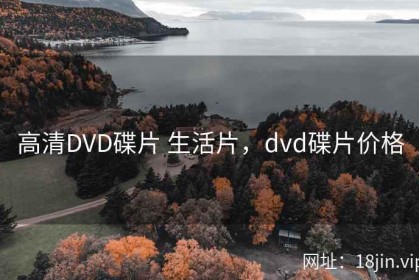 高清DVD碟片 生活片，dvd碟片价格