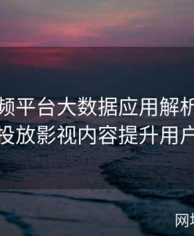 麻豆视频平台大数据应用解析：如何精准投放影视内容提升用户粘性