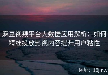麻豆视频平台大数据应用解析：如何精准投放影视内容提升用户粘性