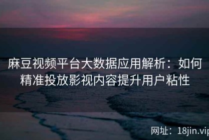 麻豆视频平台大数据应用解析：如何精准投放影视内容提升用户粘性