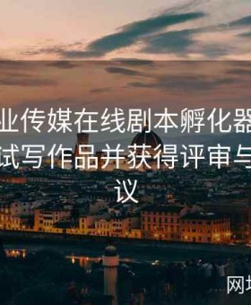 麻豆影业传媒在线剧本孵化器：邀请新编剧试写作品并获得评审与粉丝建议