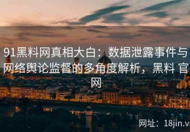 91黑料网真相大白：数据泄露事件与网络舆论监督的多角度解析，黑料 官网
