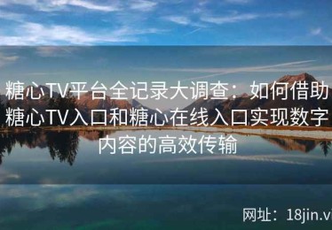 糖心TV平台全记录大调查：如何借助糖心TV入口和糖心在线入口实现数字内容的高效传输