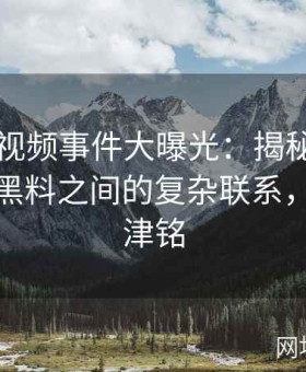 张津瑜视频事件大曝光：揭秘吕总与卫生间黑料之间的复杂联系，网红张津铭
