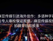 麻豆传媒引进海外佳作：多语种字幕与专人审校保证观感，麻豆传媒视频拍摄背后的故事