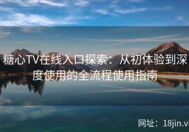 糖心TV在线入口探索：从初体验到深度使用的全流程使用指南
