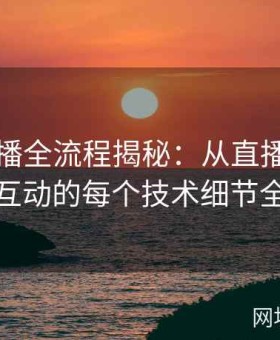 大赛直播全流程揭秘：从直播设备到平台互动的每个技术细节全解析