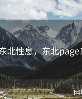 东北性息，东北page1