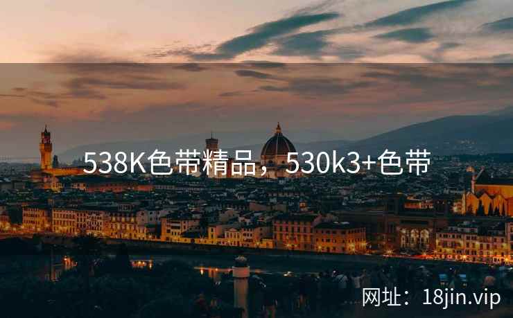 538K色带精品，530k3+色带
