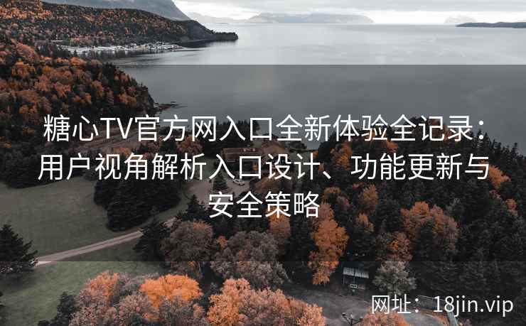 糖心TV官方网入口全新体验全记录：用户视角解析入口设计、功能更新与安全策略
