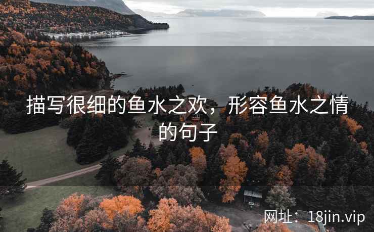 描写很细的鱼水之欢，形容鱼水之情的句子