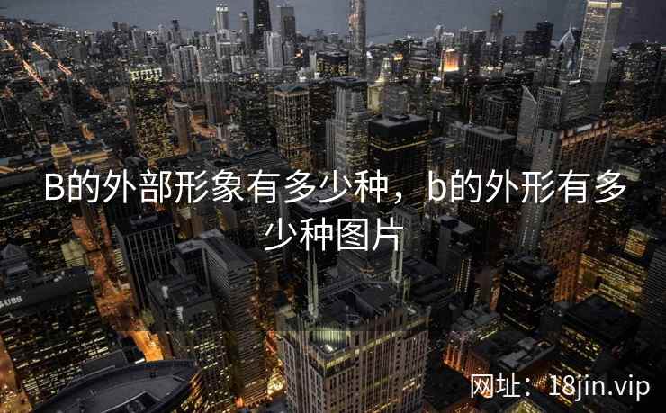 B的外部形象有多少种，b的外形有多少种图片